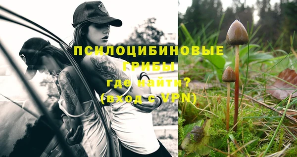стаф Абдулино