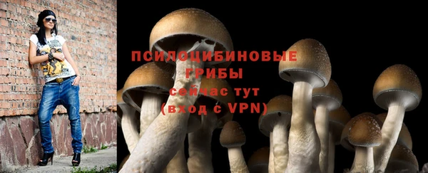 первитин Алексин